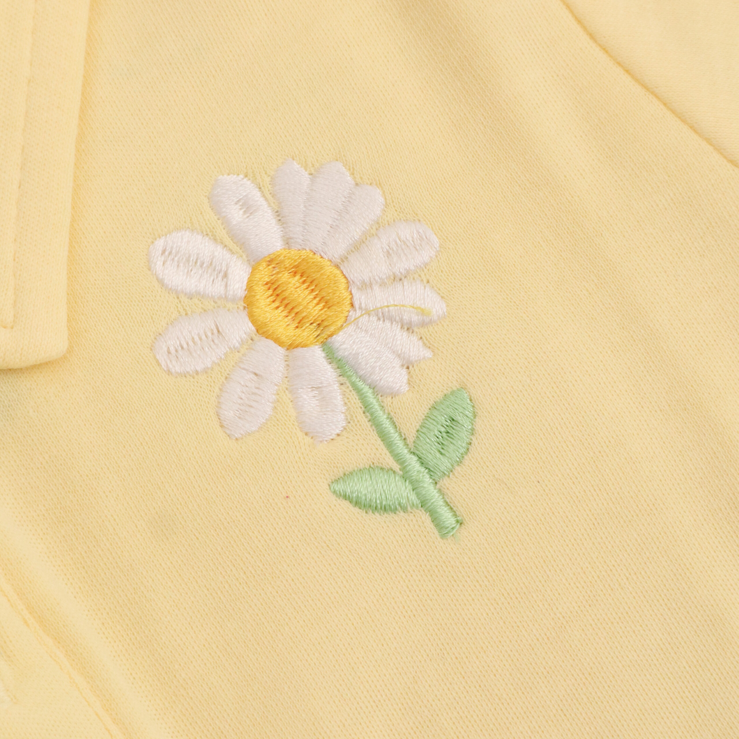 sunny-daisy-03